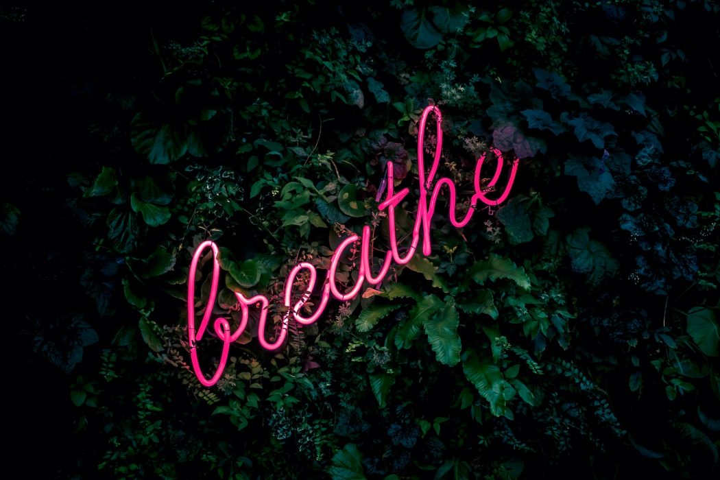 Breathe in neon glass color pink in some bushes